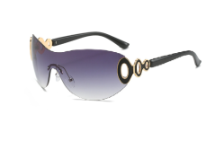 Solglas ringart 2