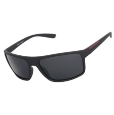 Polariserande solglas Erik