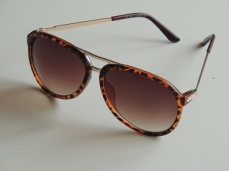 Solglas JR