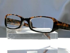 Läsglas Larry