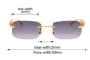 Solglas fancy