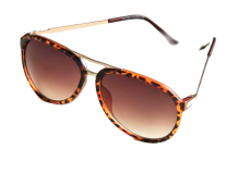 Solglas JR