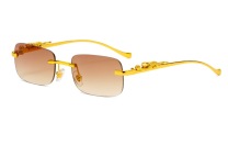Solglas fancy