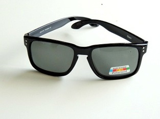 Polariserande solglas Hilding
