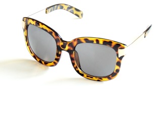 Solglas Jemina turtle