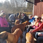 Grillning på Altan 