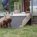 20180625-IMG_3716