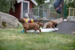 20180625-IMG_3749