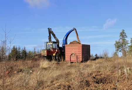 10 november 2021 - Skogsavfallet efter avverkningen på Kallnäset flisas för att bli biobränsle.