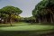 Golf_de_Pals_-_green_hole_3_-_JacobSjoman__2_