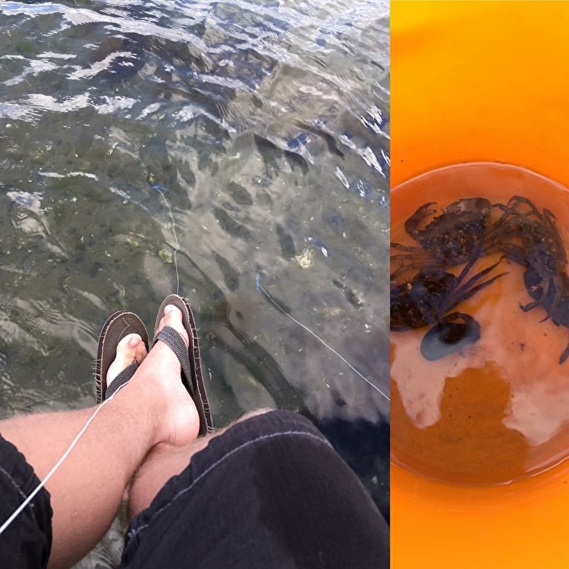 23 år senare (sommaren 2016) fiskar samma kille krabbor på nästan samma ställe, hos mormor & Bert i Berga. Han är nu också uppgraderad och kan sitta på bryggan i stället än för på land