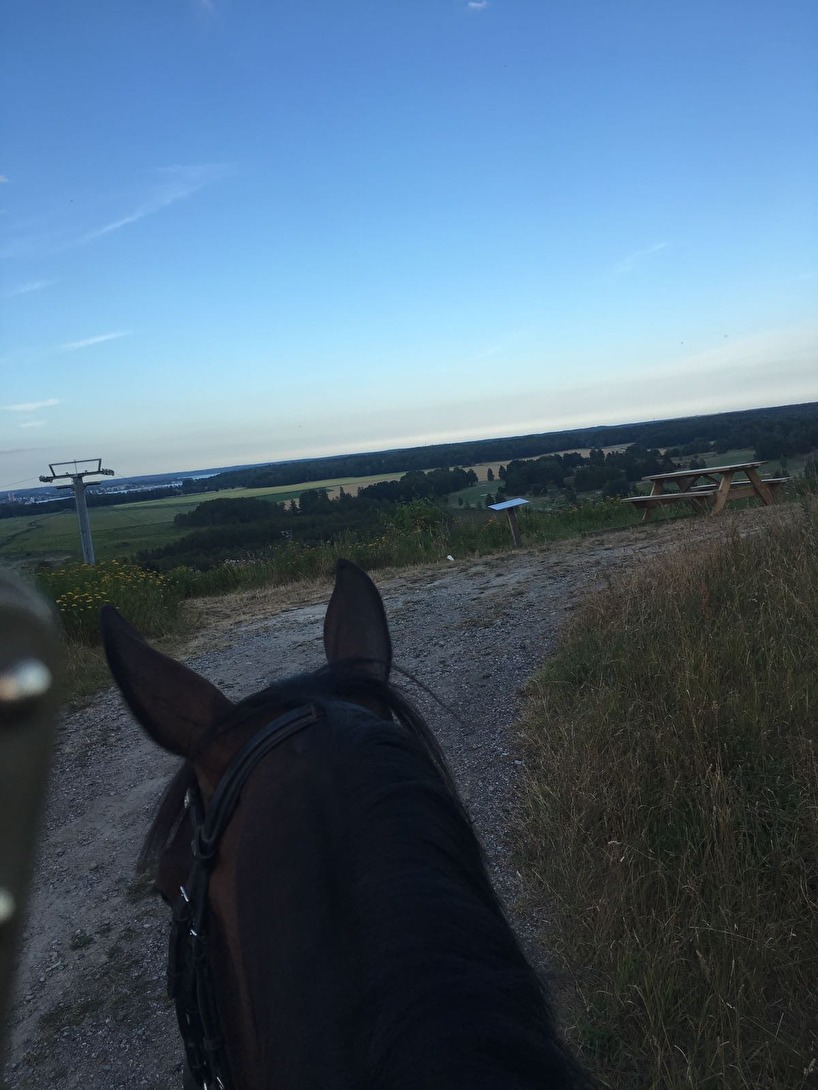 Heavenly på skogstur med utsikt över Nyköping. Inte riktigt lika flashigt som Sånfjället men ändå:) Heavenly på skogstur med utsikt över Nyköping. Inte riktigt lika flashigt som Sånfjället men ändå:)
