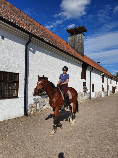 Flo i solen efter en härlig tur i det gröna Flo i solen efter en härlig tur i det gröna