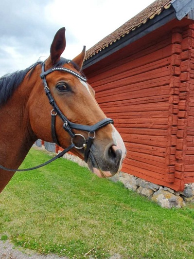 men oftast tycker han om att fotograferas men oftast tycker han om att fotograferas