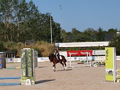 Flo fick själv lite miljöträning bland de fina hindren på Åby Flo fick själv lite miljöträning bland de fina hindren på Åby