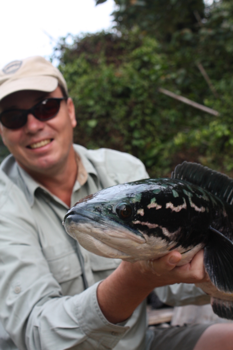 Sam Edmonds Fishing Blog: Lure fishing for Giant Snakehead on Temenggor Dam  in the Royal Belum National Park, Malaysia