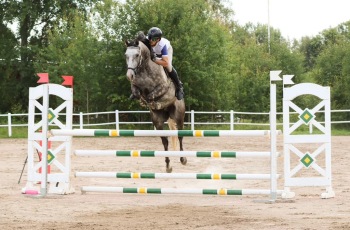 Foto: S.Hägg