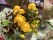 Tränks blommor4
