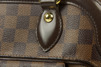 Louis vuitton Trevi PM Damier Ebene
