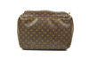 Louis Vuitton Evasion Monogram
