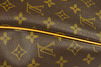 Louis Vuitton Evasion Monogram