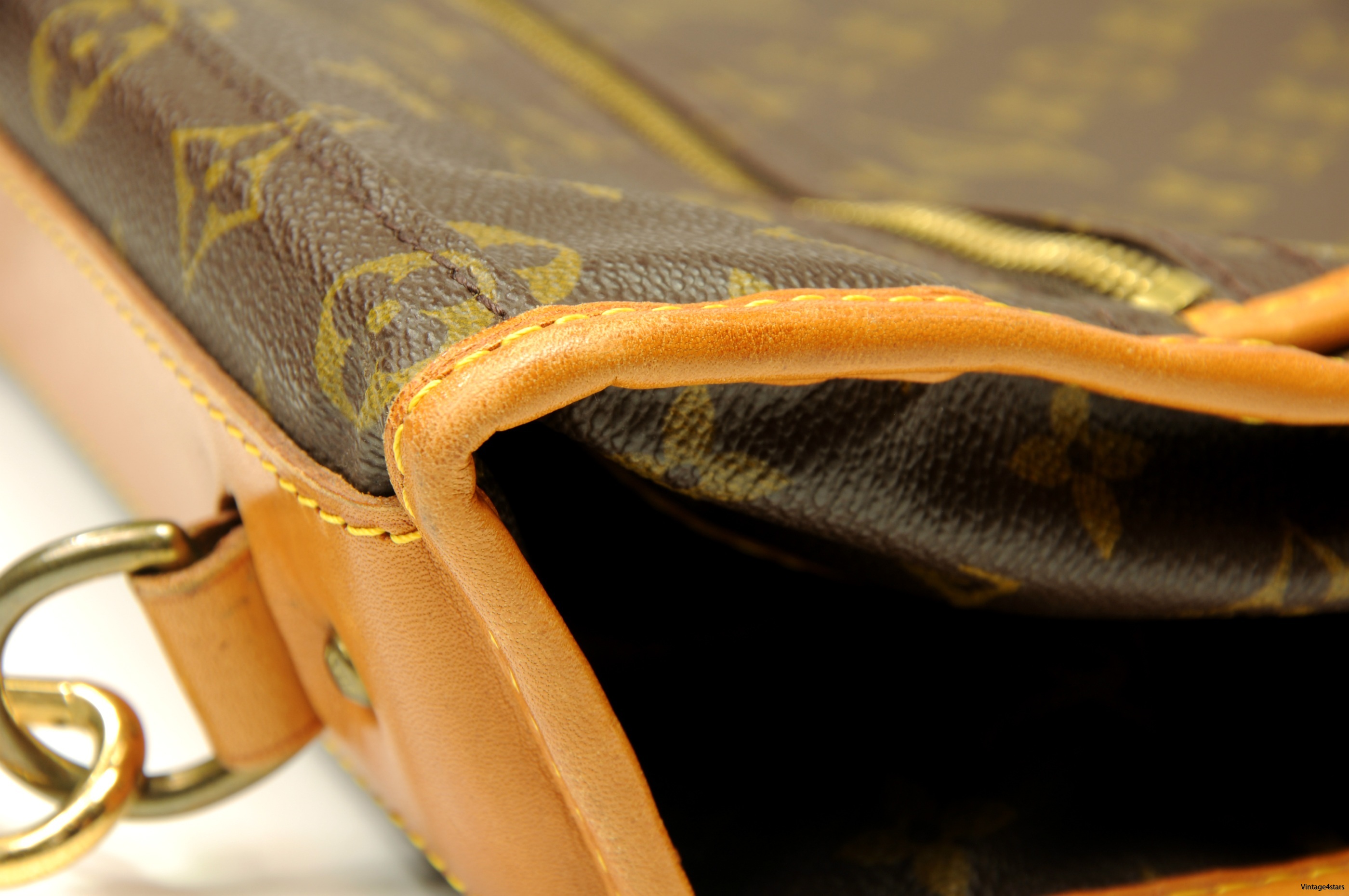 Louis Vuitton Garment Bag 5 Hangers 9