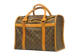 Louis Vuitton Sac Chien 40/Chaussures