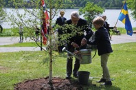 Plantering av minnesträd av veteranpolissoldaten Thor Hofsbro och Kasper Eikli Rygh. Foto Georg Kristiansen.