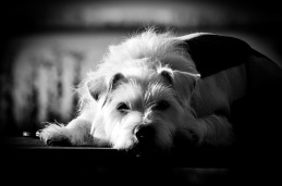 @FotozbyC @FotozbyC