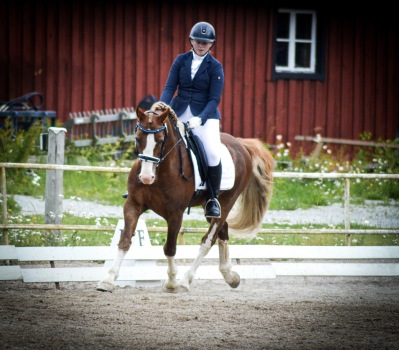 Kvällsdressyr Arboga RS 2024 @FotozbyC