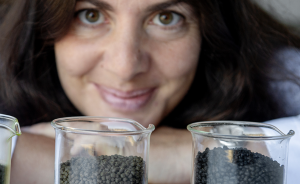 Katerina Kousoulaki i Nofima har produsert fiskefôr med 30 % biomasse frå mikroalgar – og den blir grøn. Foto: Helge Skodvin, Nofima. 11 Katerina Kousoulaki i Nofima har produsert fiskefôr med 30 % biomasse frå mikroalgar – og den blir grøn. Foto: Helge Skodvin, Nofima. 11