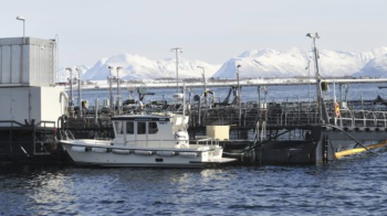 Näring för framtiden. Med en växande befolkning, ett ökat behov av mat och begränsad landareal måste vi erkänna att mer av mår mat måste komma från, och bli producerad i, havet skriver Anette Davidsen Näring för framtiden. Med en växande befolkning, ett ökat behov av mat och begränsad landareal måste vi erkänna att mer av mår mat måste komma från, och bli producerad i, havet skriver Anette Davidsen