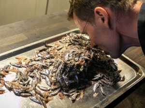 NY DELIKATESSE: Havforsker Arne Duinker studerer lysprikkfisk hentet opp fra dypet. Han er en av de aller første som har smakt på fisken som kan bli et nytt innslag på middagsbordet. Foto: Erlend A. L NY DELIKATESSE: Havforsker Arne Duinker studerer lysprikkfisk hentet opp fra dypet. Han er en av de aller første som har smakt på fisken som kan bli et nytt innslag på middagsbordet. Foto: Erlend A. L