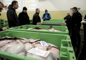 Halvparten av fisken som selges på fiskeauksjonen i Hirtshals er rødspette. I Nordsjøen har det vært en sterk økning i rødspettebestanden. Gytebestanden har økt fra litt over 200.000 tonn i 2000 til o Halvparten av fisken som selges på fiskeauksjonen i Hirtshals er rødspette. I Nordsjøen har det vært en sterk økning i rødspettebestanden. Gytebestanden har økt fra litt over 200.000 tonn i 2000 til o