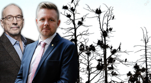 FOTO: TT Öar där skarven bosätter sig dör och träd, vegetation och omkringliggande vatten förstörs, skriver EU-parlamentarikerna Fredrick Federley och Nils Torvalds. FOTO: TT Öar där skarven bosätter sig dör och träd, vegetation och omkringliggande vatten förstörs, skriver EU-parlamentarikerna Fredrick Federley och Nils Torvalds.