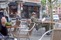 Bild sv (35)