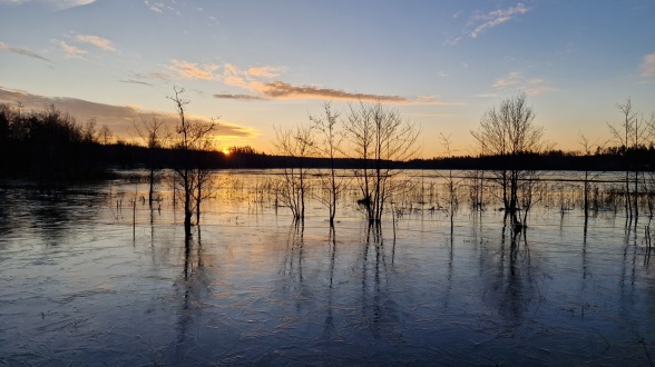 Ice starting to settle on lakes in Örebro county, Lindesberg municipality (Photo: Holger Villwock)