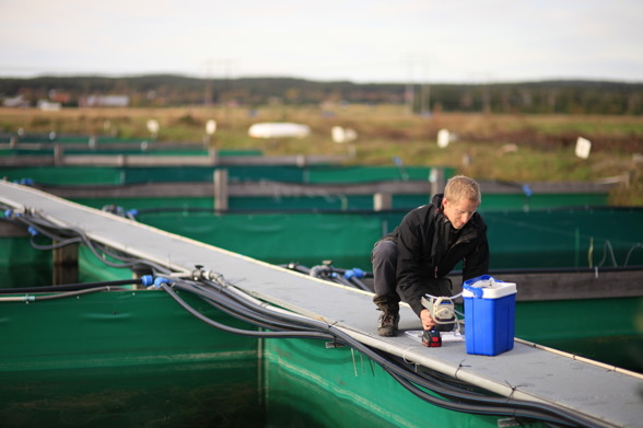 Experimental facility at Umeå University. Photo by Mattias Pettersson Experimental facility at Umeå University. Photo by Mattias Pettersson