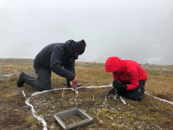 Researchers conducting a labbeling study with nitrogen isotopes to improve our understanding of impacts of changes in the vegetation on the nitrogen cycle. Photo: Gunhild Rosqvist.