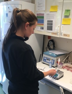 When tissue samples should be used for analyses of for example diseases, sterilized tools may sometimes be important. Photograper: Gunnar Jansson.