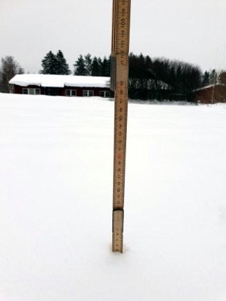Röbäcksdalen’s 75 cm record snow depth, with the field station building in the background. Photo: Malin Barrlund.