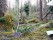 One of the vegetation plots in Aneboda IM in 2013. Photo: Ulf Grandin, SLU.