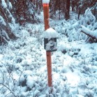 One of the wildlife cameras in the camera trap system. Photo: Gunnar Jansson.