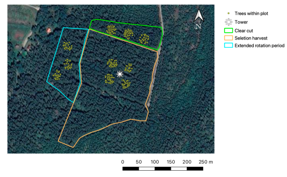 Map of the planned long-term forest management experiment at Skogaryd. Shown are the exact position of the 344 trees (in 10 plots) where tree diameter and height (selected trees) measurements were measured. (Map by Ulrika Ervander)
