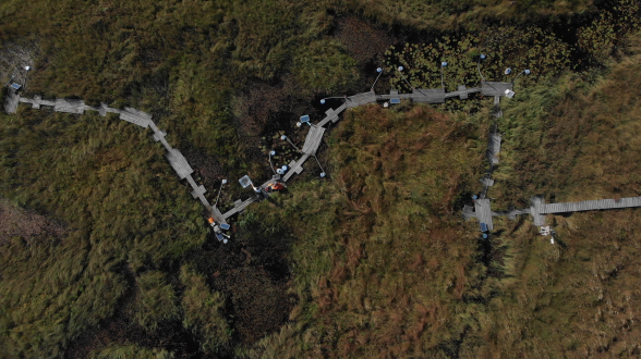 A birdseye view of the walkway over the lake-wetland transition area at Skogaryd Research Station.