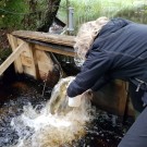 Sample collection from stream discharge 