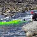 Measuring stream discharge. The water flow is measured using a fluorescein tracer dye called uranine, and that is why the water is green
