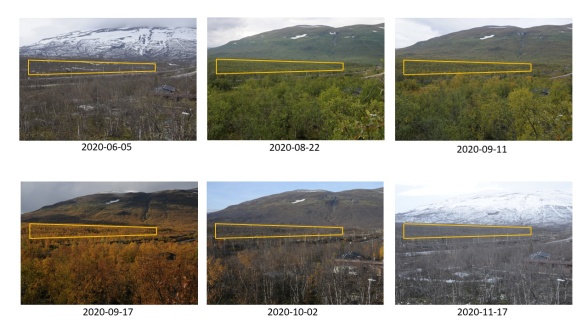 Figure 1. Sample images from PhenoCam located at Abisko Scientific Research Station with Mount Nuolja in the background. A single region of interest (yellow polygon) was used for extracting the time series of RCC.