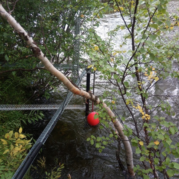 SITES Water: new installation for measuring stream O2 and CO2 concentrations. A buoy and constant force spring ensure that the cable stays tensioned and that the sensor always stays at the same water depth relative to the surface regardless of changes in water level and discharge throughout the year. This set-up also protects the sensor from sudden changes in water pressure. Photo credit: Alexander Meire