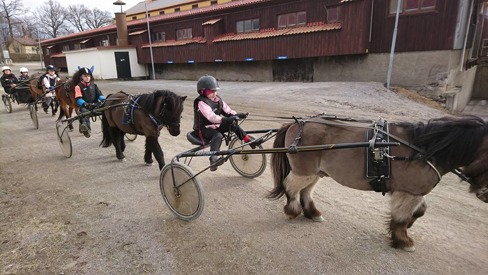 Vinnare av Mini Elitloppet 2015 Vinnare av Mini Elitloppet 2015